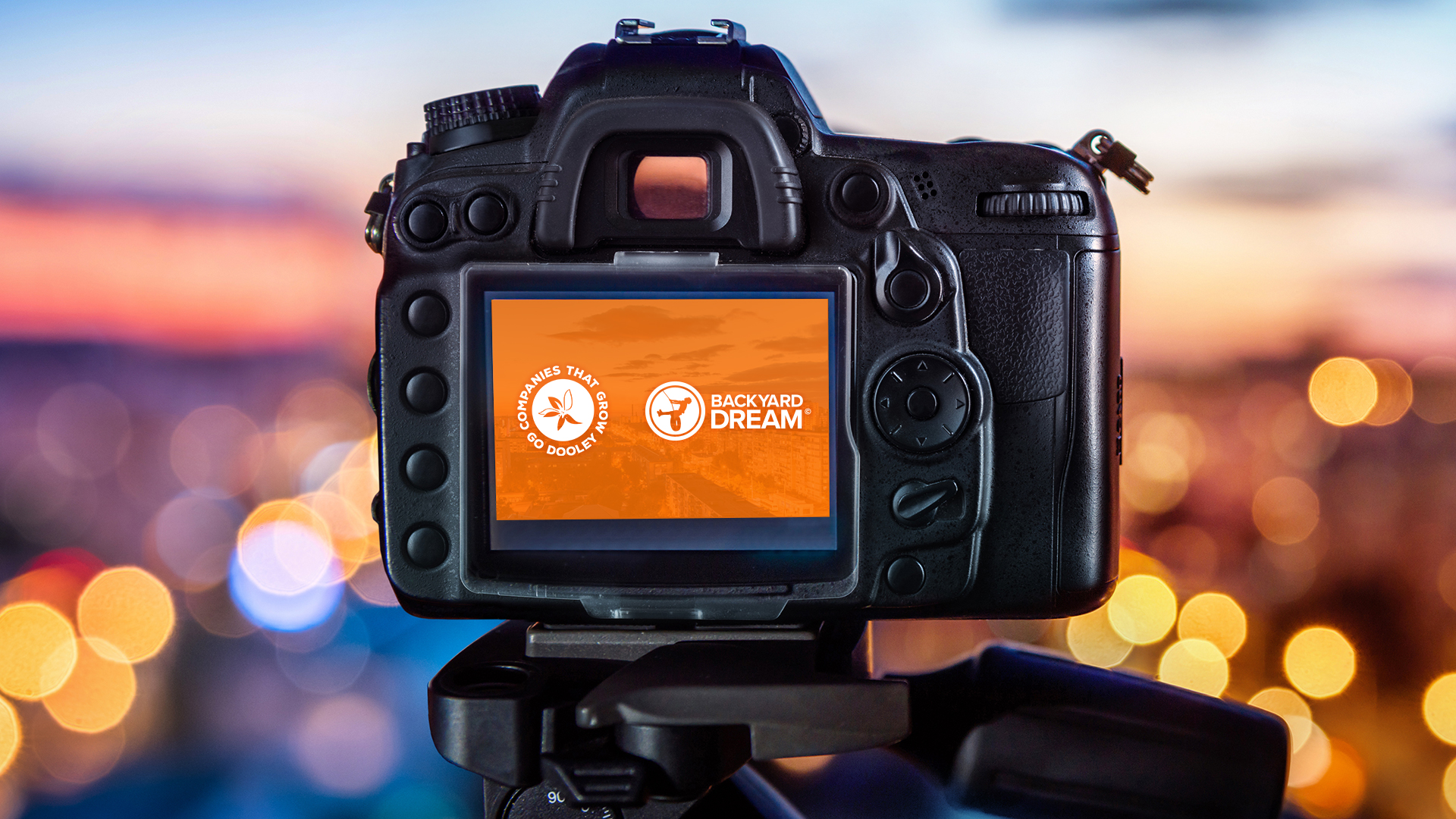Dooley and Associates and Backyard Dream logos on a camera.